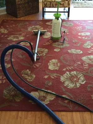 area_rug_cleaning3